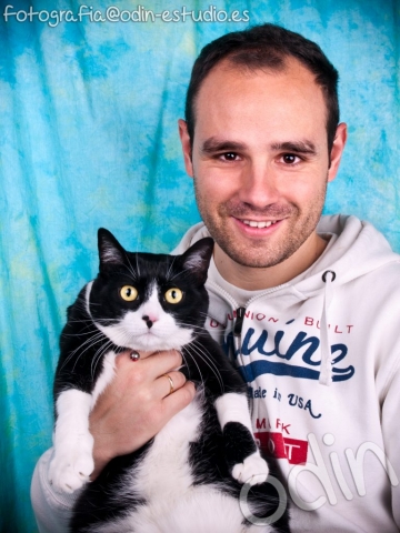 mascotas, fotografia, estudio, Madrid, Gatos, animales